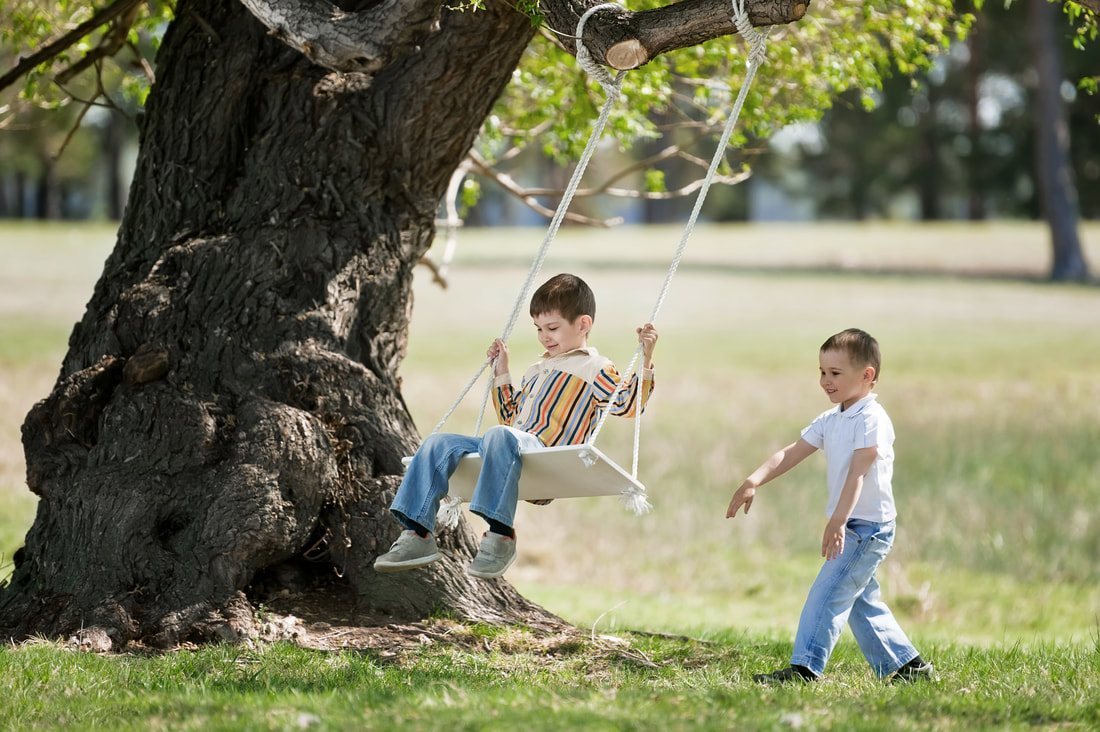Tree Swings Are Great Summer Fun - Tree Service York PA